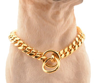 Gold Link Chain Collar for Dogs