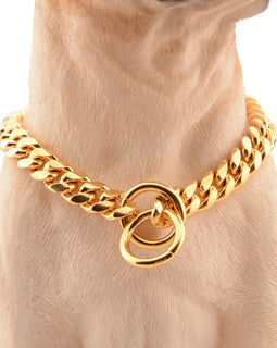 Gold Link Chain Collar for Dogs